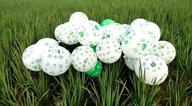 I love Pakistan balloons