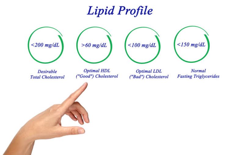 cholesterol is good for liver