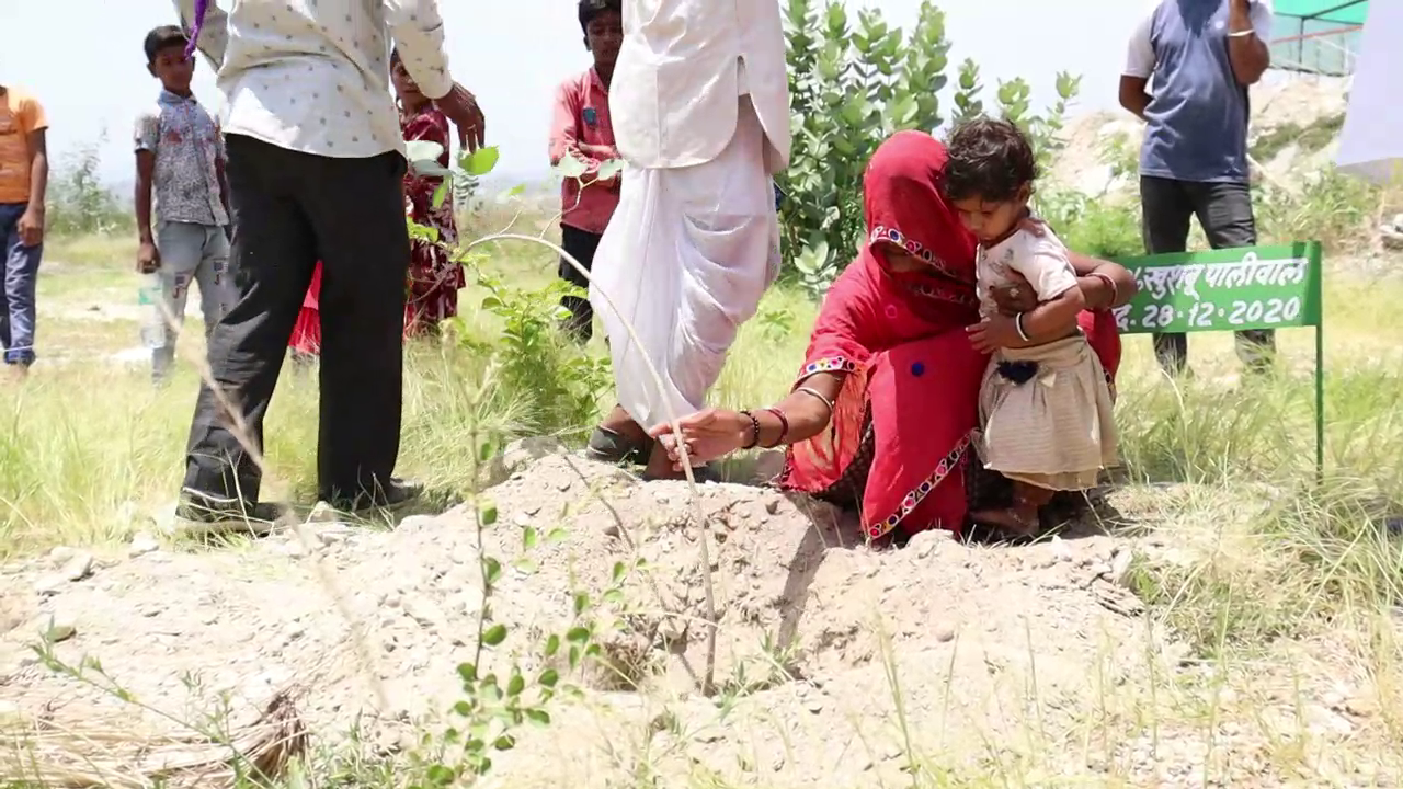 Rajsamand Piplantri Village,  Piplantri Village,  Environment protection,  Rakshabandhan festival,  plantation