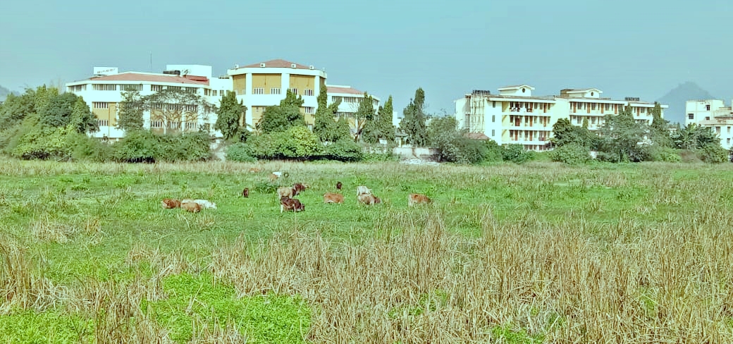 Dr. Bhupen Hazarika Cultural University