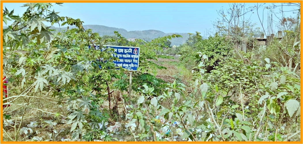 Dr. Bhupen Hazarika Cultural University