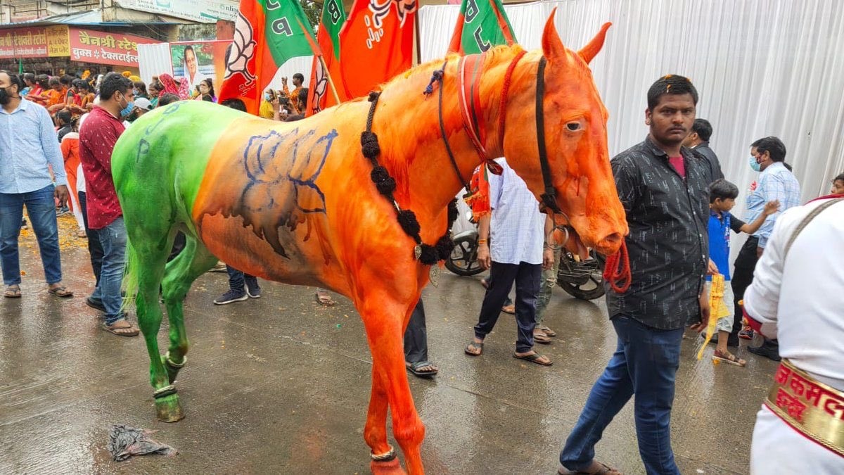 truth of saffron horse