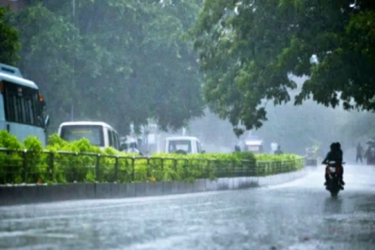 சென்னையில் கனமழை, கனமழை, மழை, rain, chennai rain, tree fallen in poonamalle highroad, poonamalle, chennai