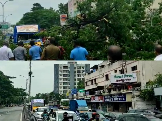 சென்னையில் கனமழை, கனமழை, மழை, rain, chennai rain, tree fallen in poonamalle highroad, poonamalle, chennai