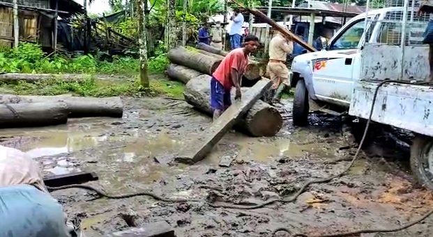 dibrugarh forest department expedition