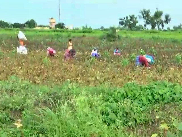 hubli -dharwad