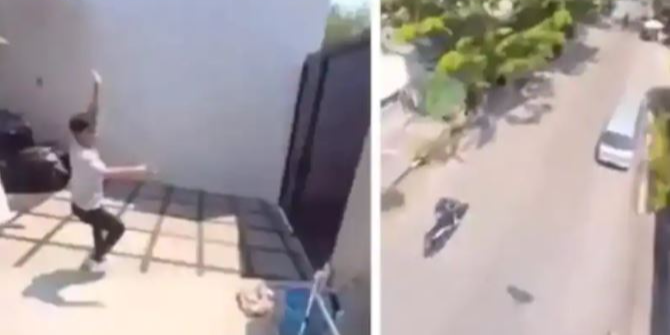 Parrot snatches a phone and captures a literal bird's eye view, video gets viral