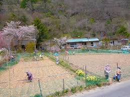 nagoro a creepy japanese village where dolls replace the departed