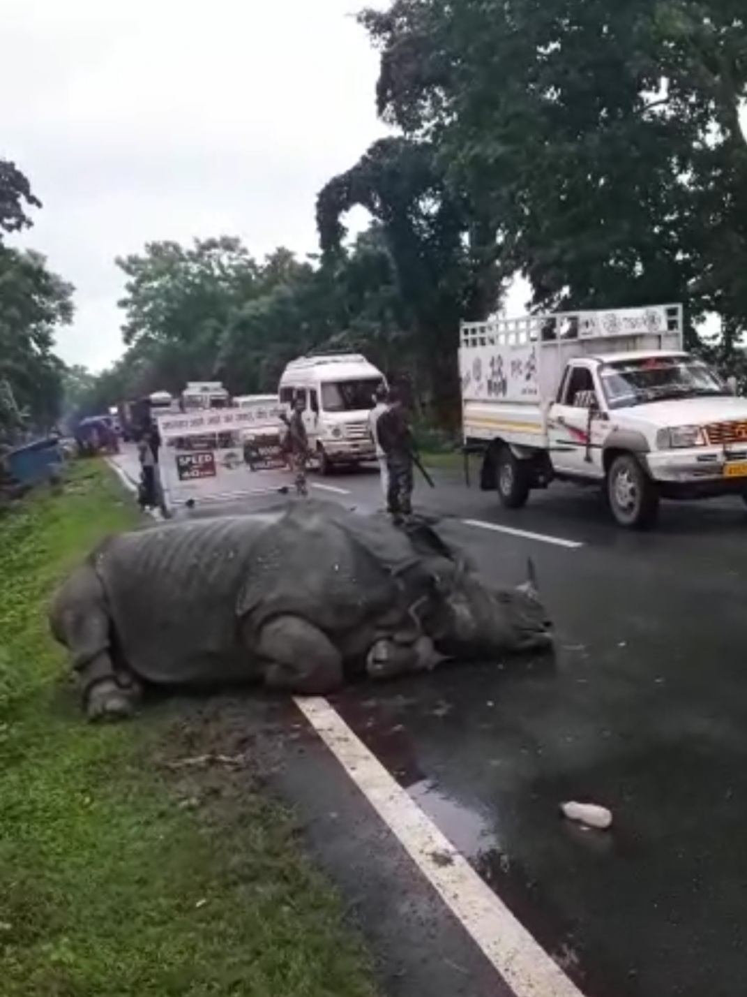 এটি গঁড়ে আশ্ৰয় লৈছে 37 নং ৰাষ্ট্ৰীয় ঘাইপথত