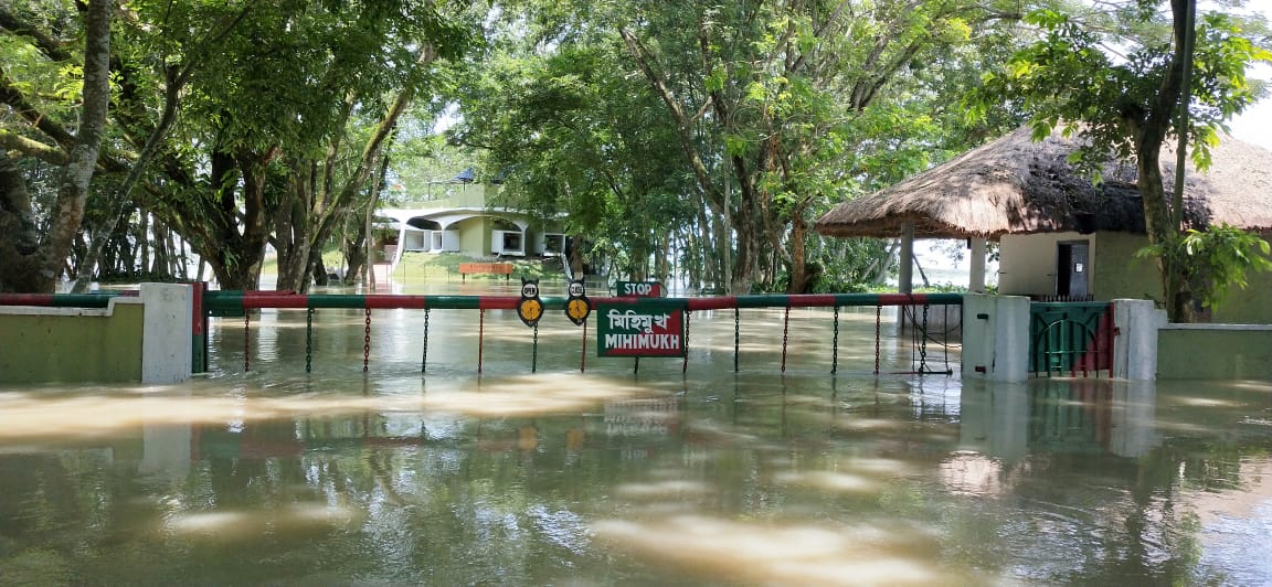 কাজিৰঙা ৰাষ্ট্ৰীয় উদ্যান