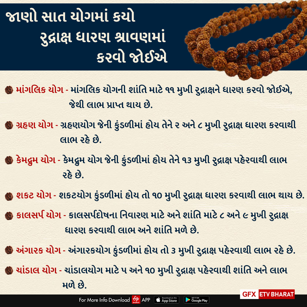 રુદ્રાક્ષનું અનેરું મહત્વ