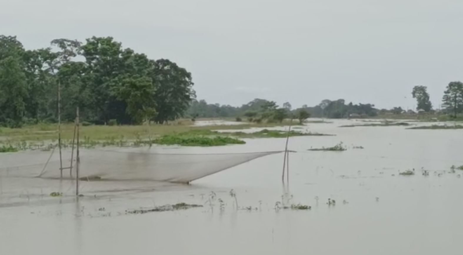 Assam floods