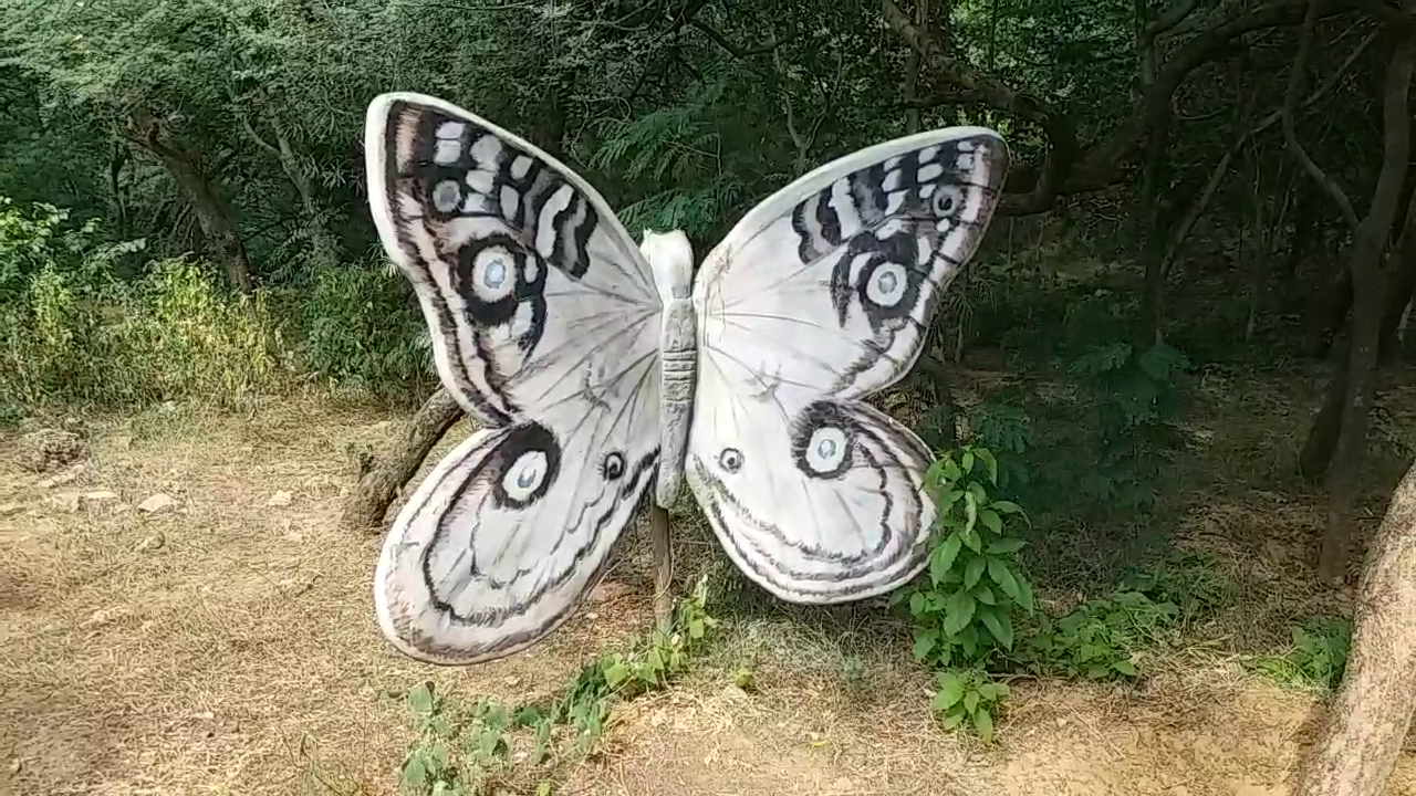 Rare species of butterflies, Smriti Van Jaipur