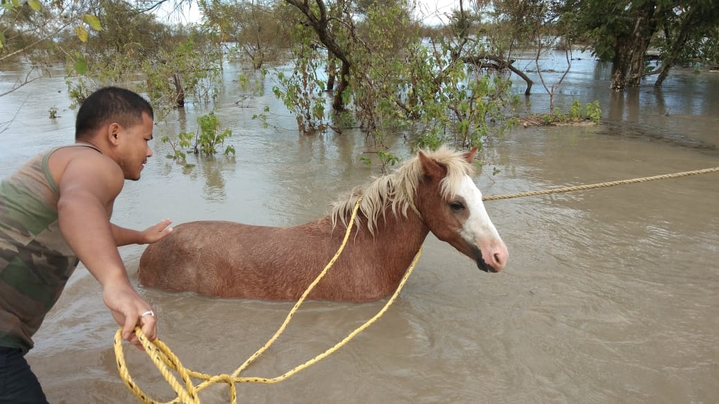 Assam flood