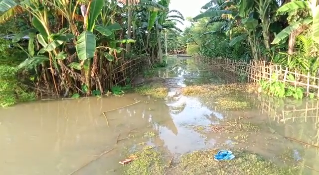 Assam flood