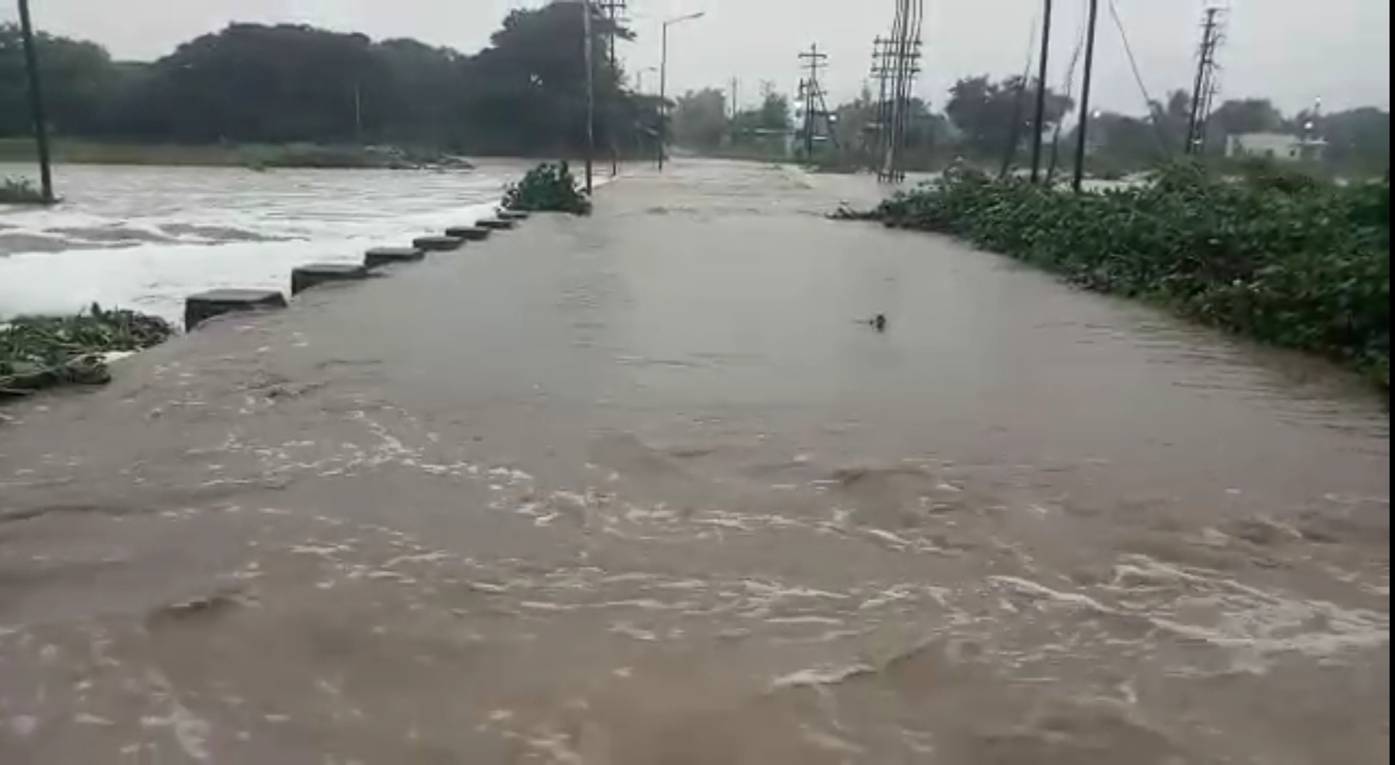 maharashtra rains