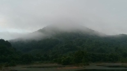 Dense fog over the hills on the Maredumilli main road