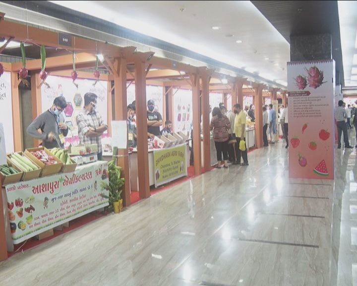 ફળોના વેચાણ માટે રાજ્યના 45 જેટલા ખેડૂતો 23 સ્ટોલમાં પોતાના ઉત્પાદનો લઈને આવ્યા