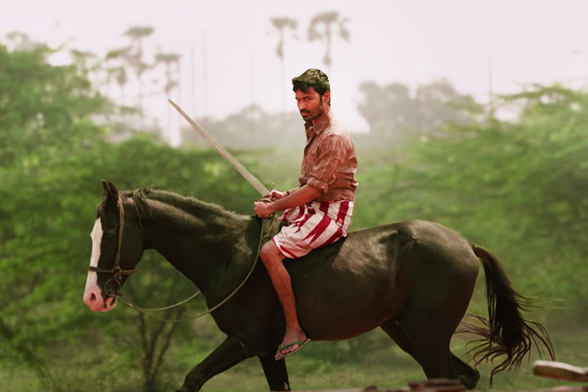 കർണൻ കുതിര വാർത്ത  കുതിര മാരി സെൽവരാജ് വാർത്ത  അലക്‌സ് മാരി സെൽവരാജ് വാർത്ത  അലക്‌സ് കുതിര ചത്തു വാർത്ത  ധനുഷ് കർണൻ വാർത്ത  karna film horse news latest  karna film mari selvaraj news  mari selvaraj dhanush news update  mari selvaraj karnan horse died news  karnan alex horse news