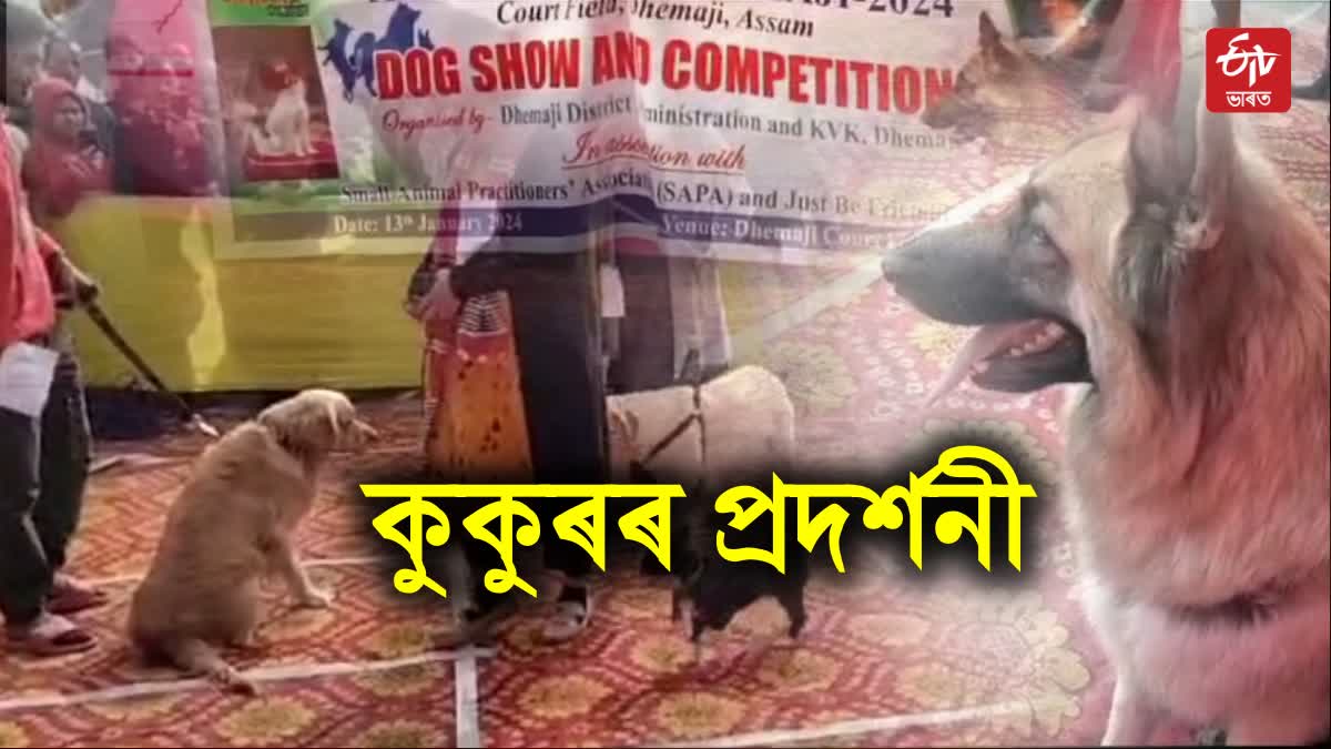 dog show Dhemaji