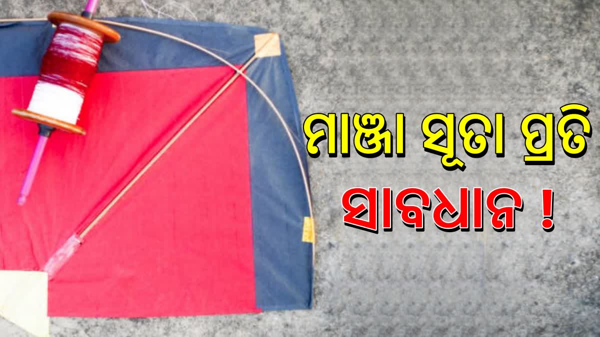 ଜୀବନ ଘାତକ ହେଉଛି ଗୁଡି ସୂତା