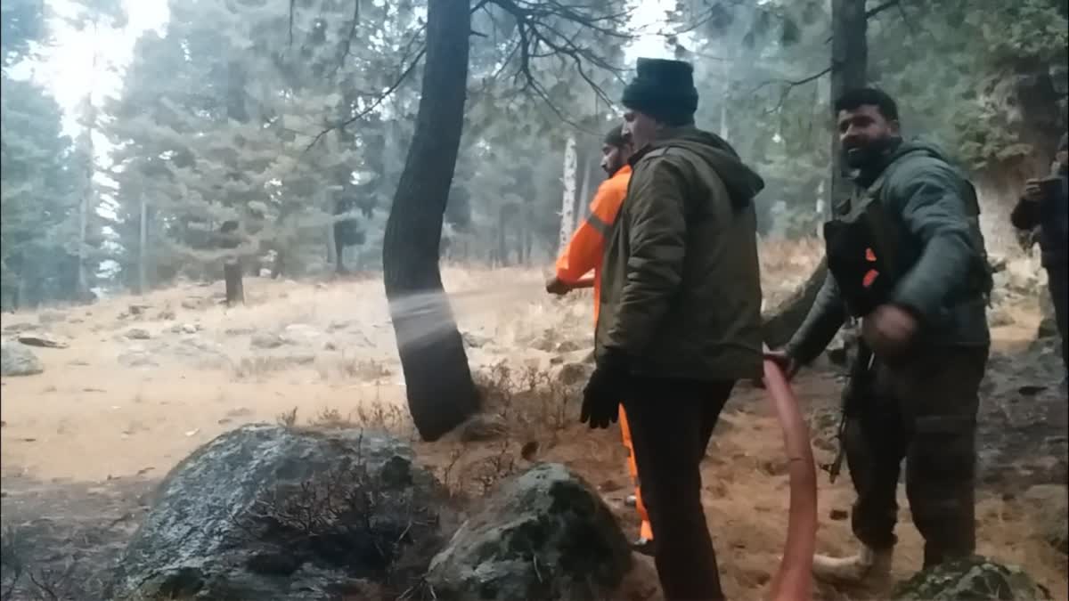 Etv Bharatfire-incidents-in-forest-compartment-sarbal