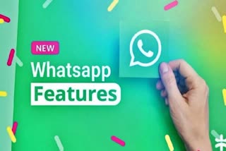 WhatsApp New Feature