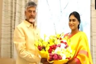 Congress leader YS Sharmila met former Andhra Pradesh CM and TDP chief