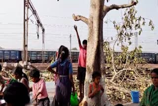 water coming From banyan tree