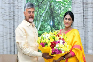 YS Sharmila invites TDP chief Chandrababu to her son's wedding