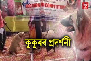 dog show Dhemaji