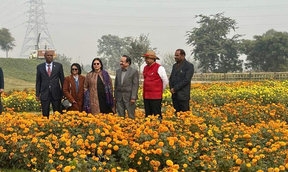 बैंबू थीम पार्क 'बांसेरा'  करीब 15 हेक्टेयर में फैला है. इस पार्क में देशभर के बांस के विभिन्न प्रजातियों का प्रयोग किया गया है.