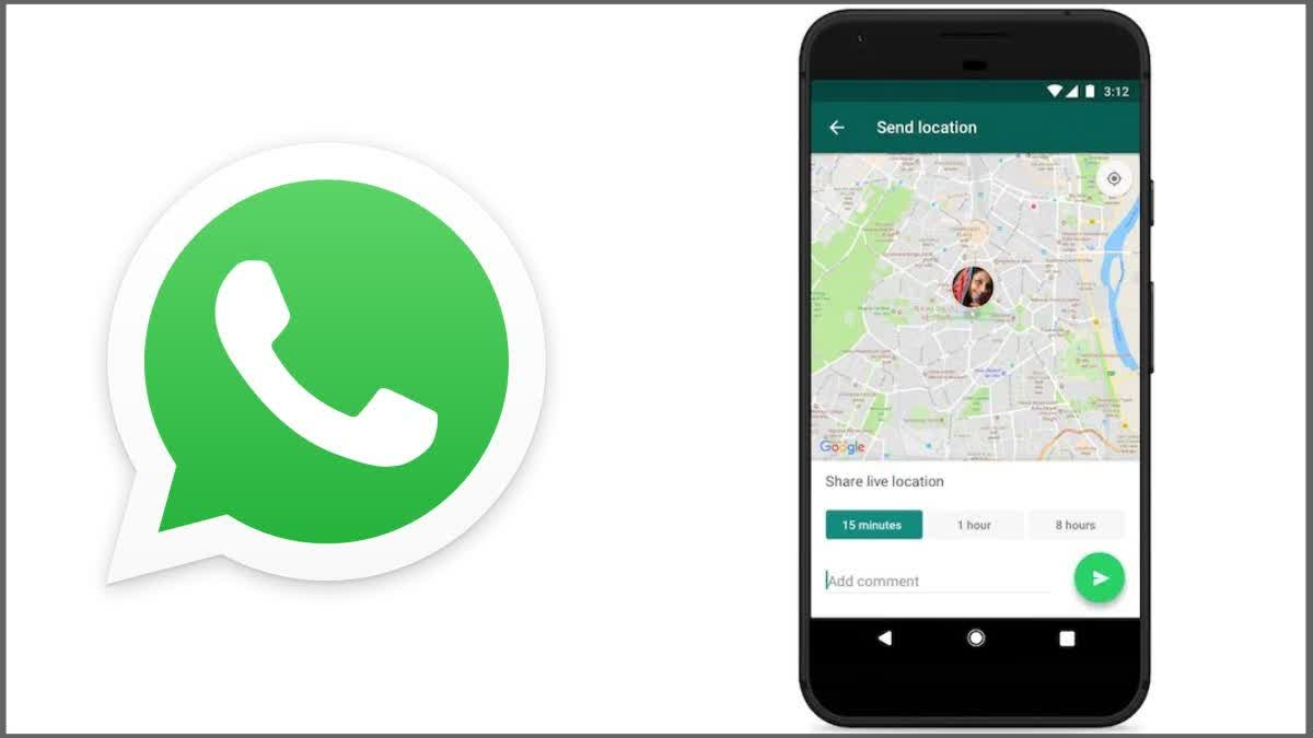 Whatsapp Tracker