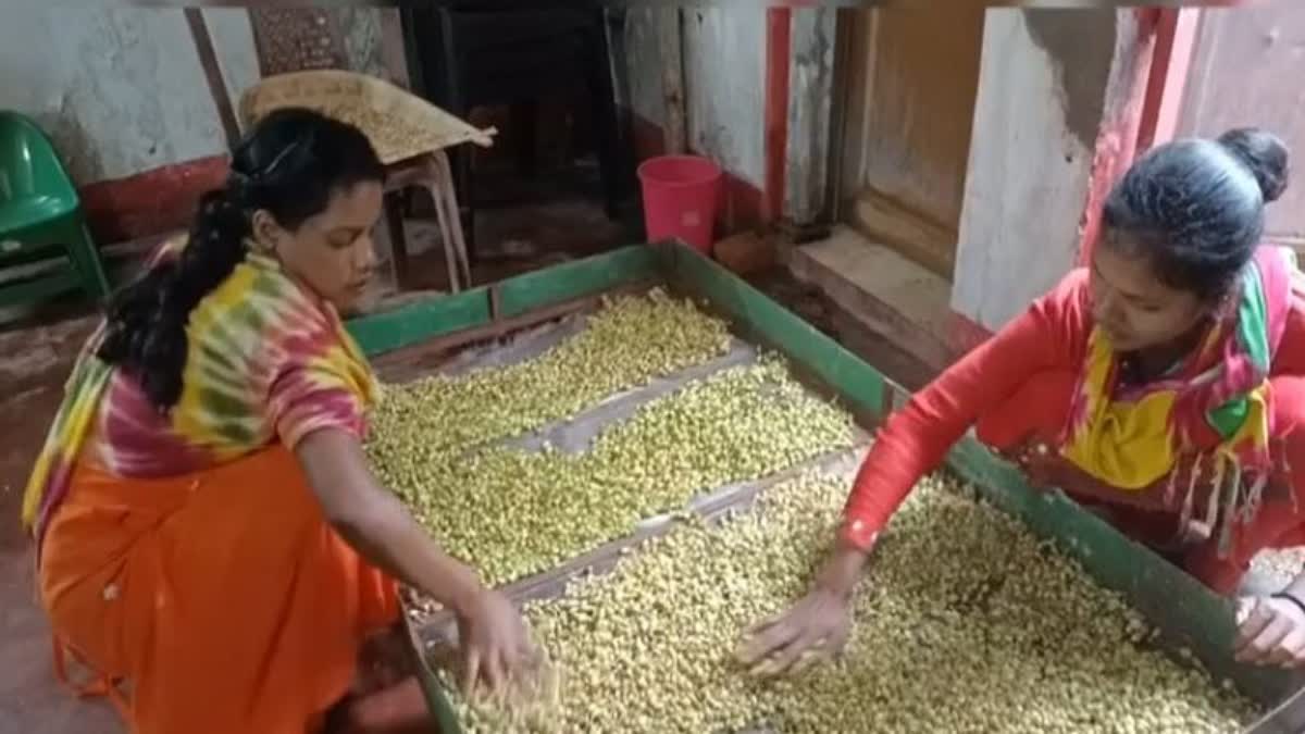 CARDAMOM CULTIVATION