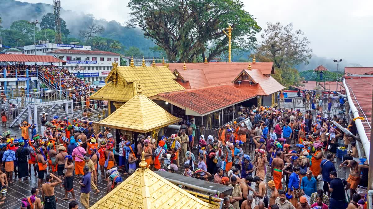 SABARIMALA PILGRIMAGE  MAKARAVILAKKU 2025  ശബരിമല വാര്‍ത്ത  മകരജ്യോതി