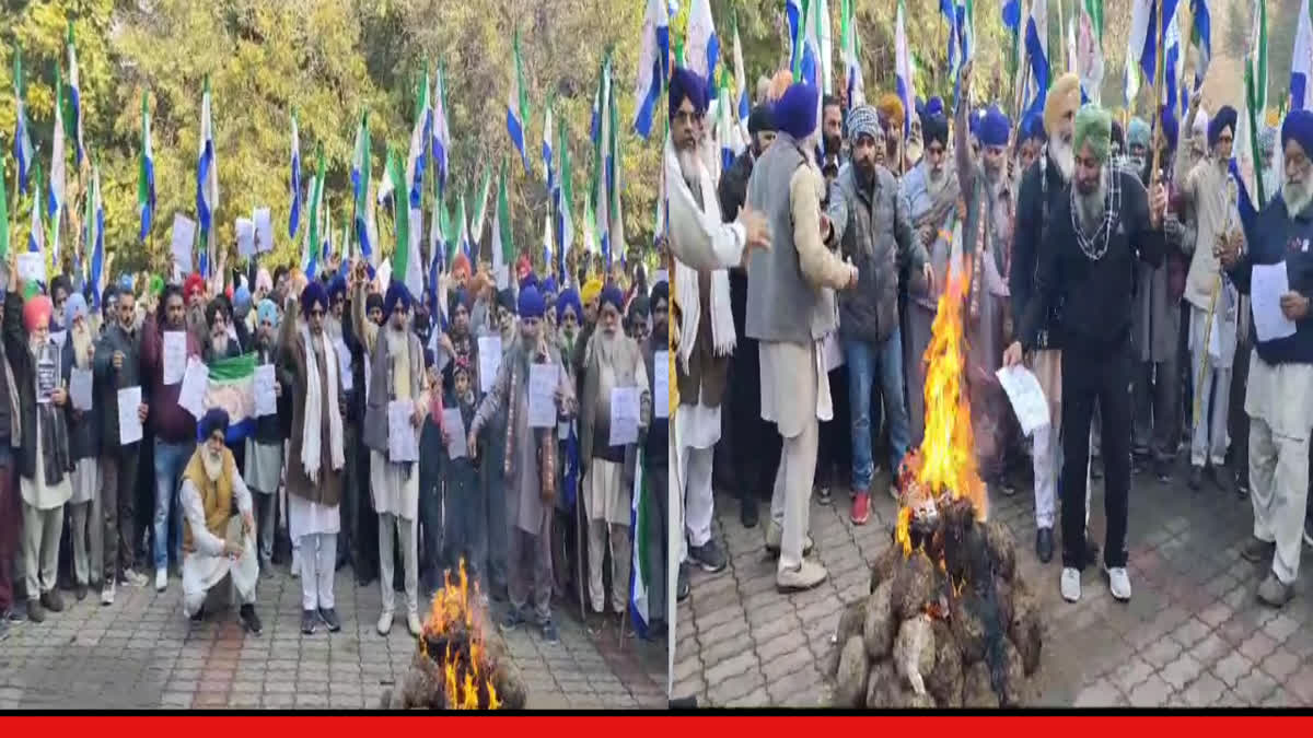 Farmers protest on Lohri, copies of market privatization issued by the center burned in Amritsar