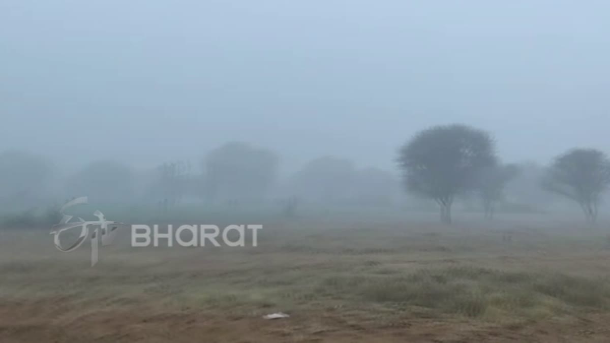 Foggy weather conditions have led to poor visibility in Rajasthan