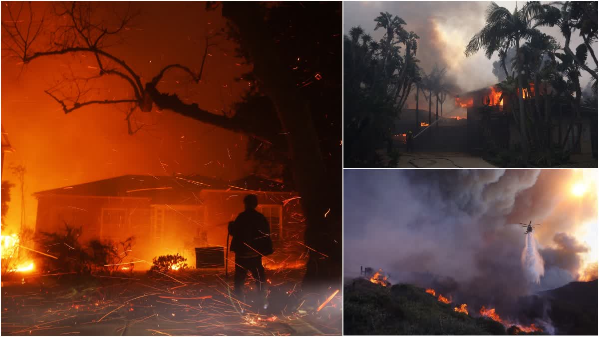 Los Angeles Wildfires