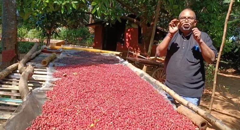 CARDAMOM CULTIVATION