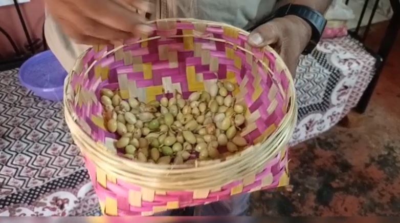 CARDAMOM CULTIVATION