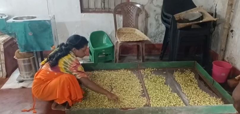 CARDAMOM CULTIVATION