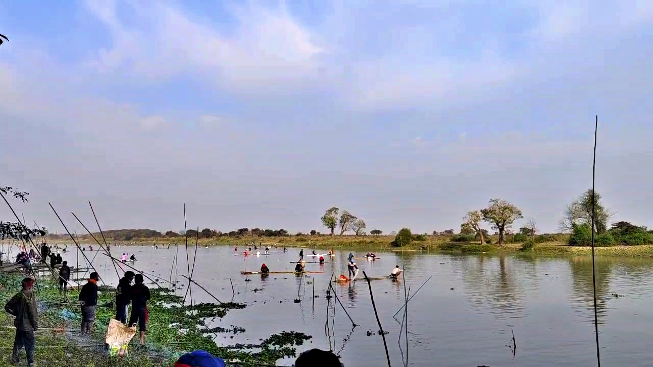 Traditional Community fishing in Kaziranga during Bhogali uruka