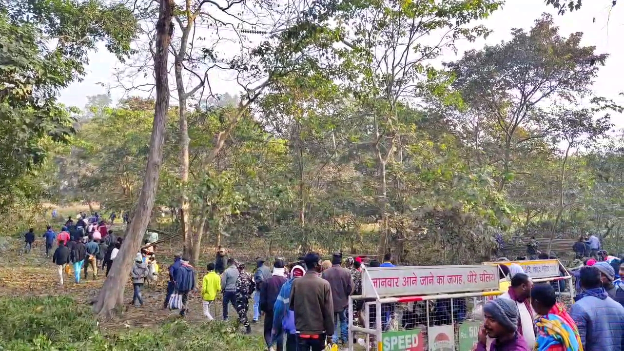 community fishing during Magh Bihu celebrations