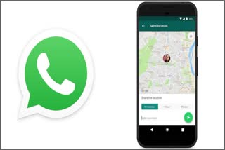 Whatsapp Tracker