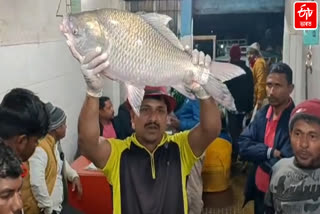 Crowd at Sollong wholesale fish market