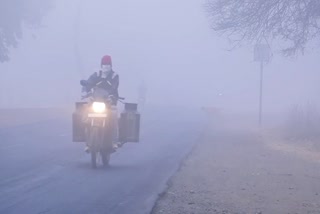 weather today january 13 imd predicts cold wave fog snowfall