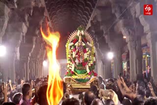 தாமிர சபையில் நடராஜர் ஆருத்ரா தரிசனம்