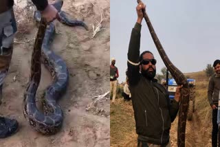 SHIVPURI FOUND PYTHON