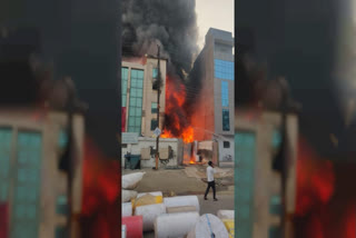 Massive Fire Breaks Out In Plastic Factory In Noida