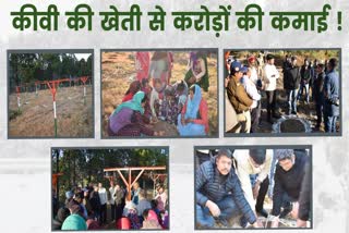 Gairsain KIWI PLANTATION IN MAITHANA VILLAGE